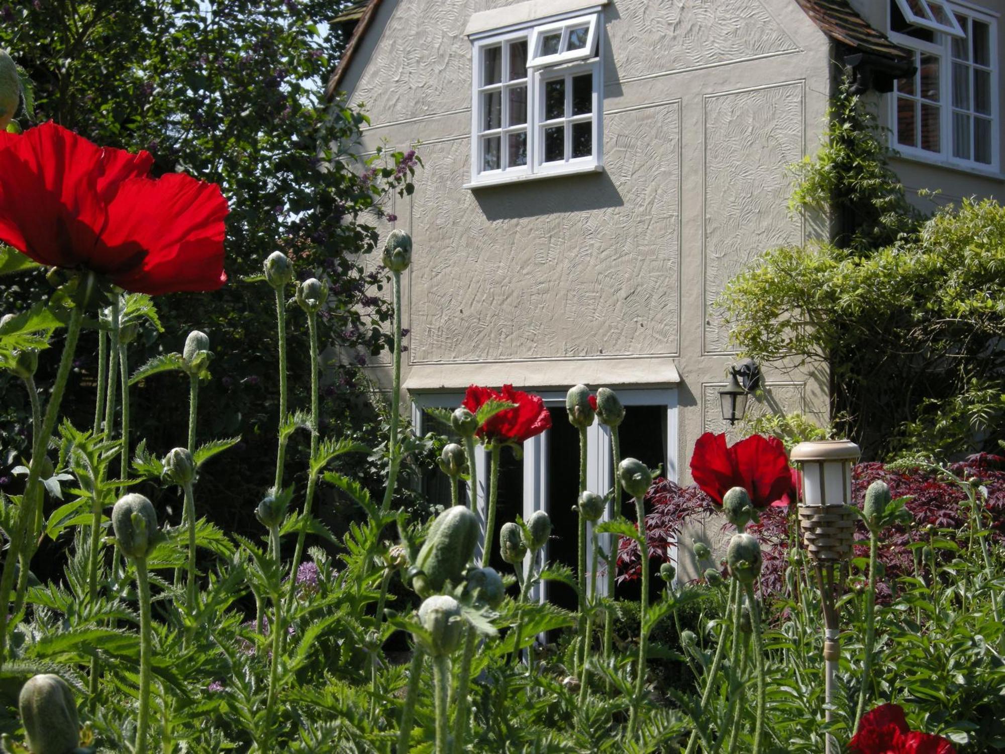 Motts Bed & Breakfast เกรทดันโมว์ ภายนอก รูปภาพ